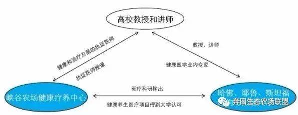 养度假项目每个都是客流量爆棚高客单价！新葡京娱乐城世界上这3个久负盛名的康(图4)