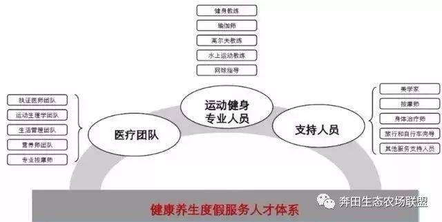 养度假项目每个都是客流量爆棚高客单价！新葡京娱乐城世界上这3个久负盛名的康(图14)