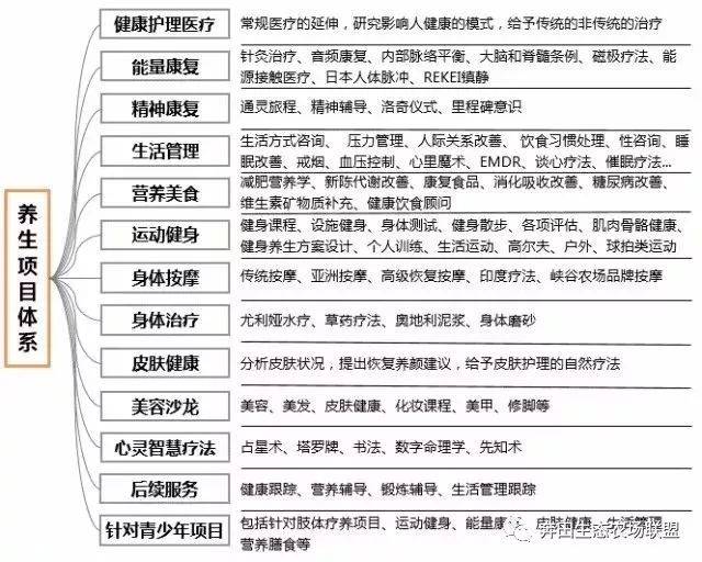 养度假项目每个都是客流量爆棚高客单价！新葡京娱乐城世界上这3个久负盛名的康(图15)