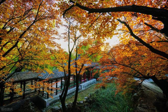 口碑旅行社！好途旅游零投诉领跑大揭秘澳门新葡京2025北京高端定制游十大(图2)