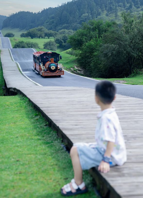 碑旅行社:远胜游5A资质+文旅真实认证新葡京娱乐2025口碑年终榜单!重庆口(图3) 碑旅行社:远胜游5A资质+文旅真实认证新葡京娱乐2025口碑年终榜单!重庆口(图3)